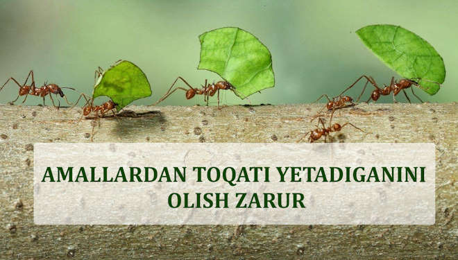 АМАЛЛАРДАН ТОҚАТИ ЕТАДИГАНИНИ ОЛИШ ЗАРУР